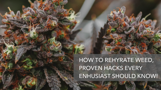 How To Rehydrate Weed